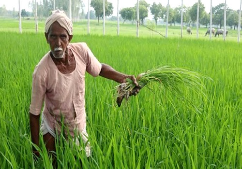 किसानों के लिए जरूरी खबर! इस डॉक्युमेंट के बिना नहीं मिलेगा PM Kisan का पैसा