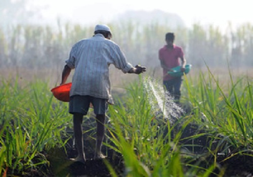 2022 में रिकॉर्ड खाद्यान्न उत्पादन की संभावना;कृषि कानून निरस्त, कृषि क्षेत्र के लिए मूल्य वृद्धि कड़वी गोलियां