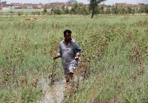 पाकिस्तान में आई बाढ़ में फसल बर्बाद करने वाले किसान मुआवजे के बिना संघर्ष कर रहे हैं