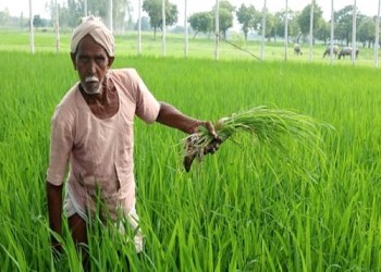 किसानों के लिए जरूरी खबर! इस डॉक्युमेंट के बिना नहीं मिलेगा PM Kisan का पैसा