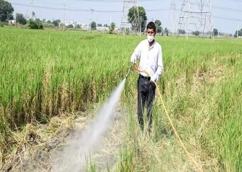 भारत ने कृषि अपशिष्ट जलाने की पुरानी आदतों को दूर करने के लिए नए कदम उठाए हैं :